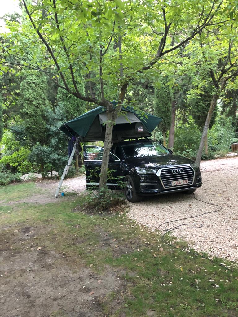Daktent in het bos